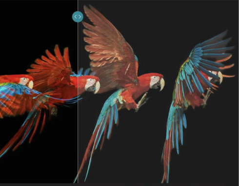 Enmascarar grupo 210