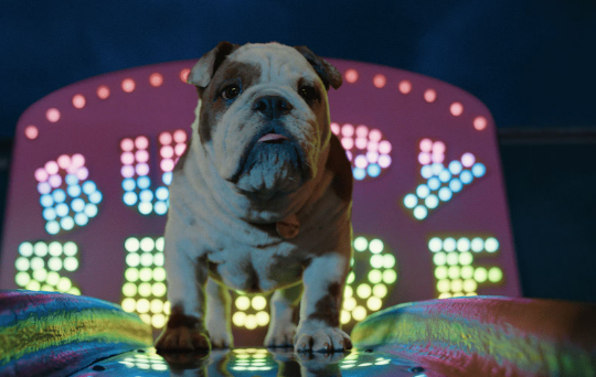 Procedural simulations with Bifrost